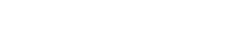 Bridgestone do Brasil