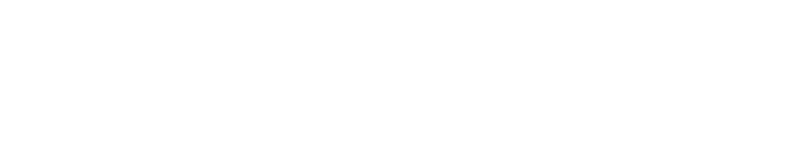 UFC FIGHT NIGHT - SÃO PAULO